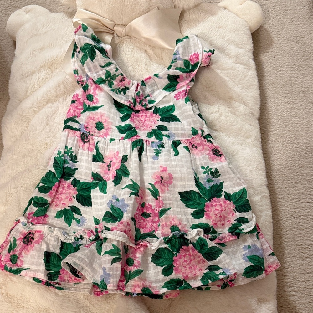 Janie and Jack Pink and Green Floral Dress